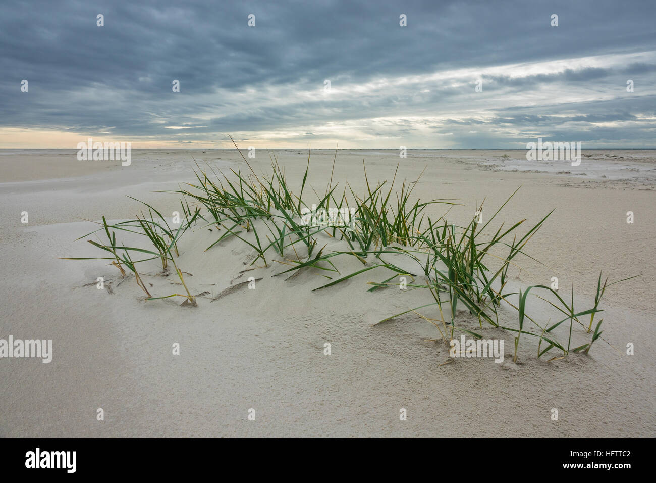 Spiaggia sul mare del nord Isola Amrum, Germania Foto Stock