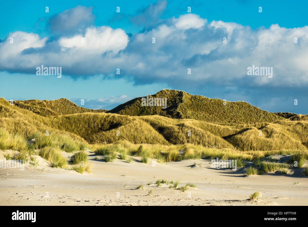 Dune dell'isola del Mare del Nord Amrum, Germania Foto Stock