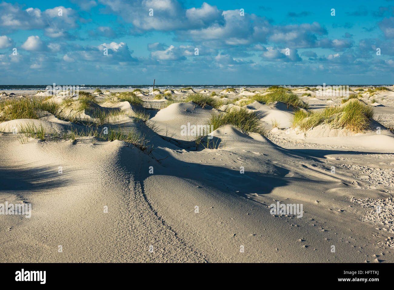 Dune dell'isola del Mare del Nord Amrum, Germania Foto Stock