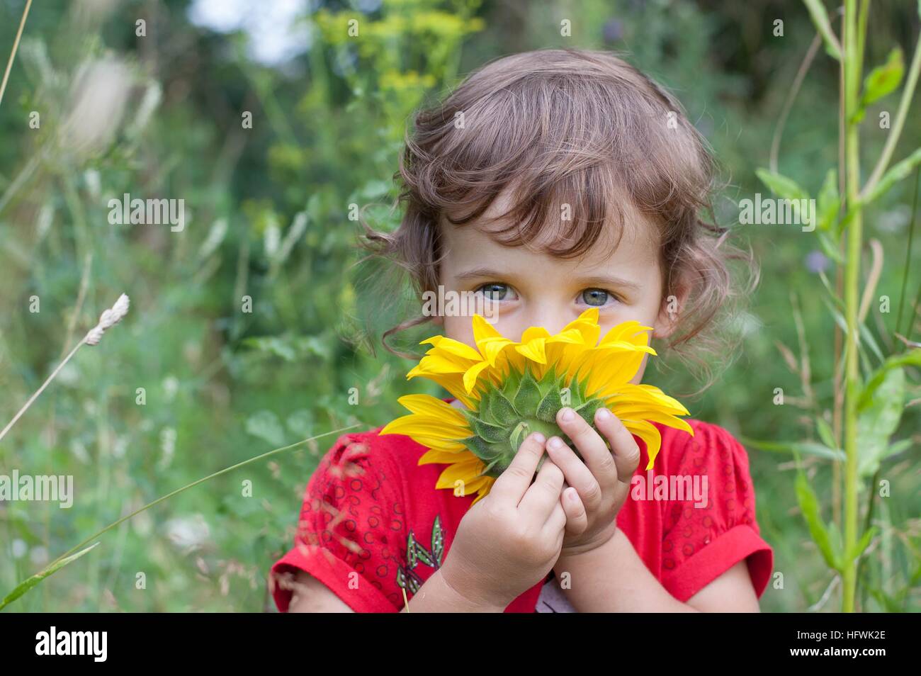 Bambino odora di semi di girasole. Foto Stock