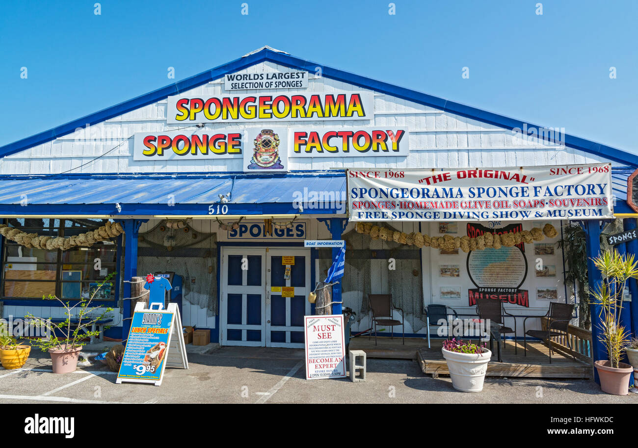 Florida, Tarpon Springs, Spugna Spongeorama factory store e gratuito al museo Foto Stock