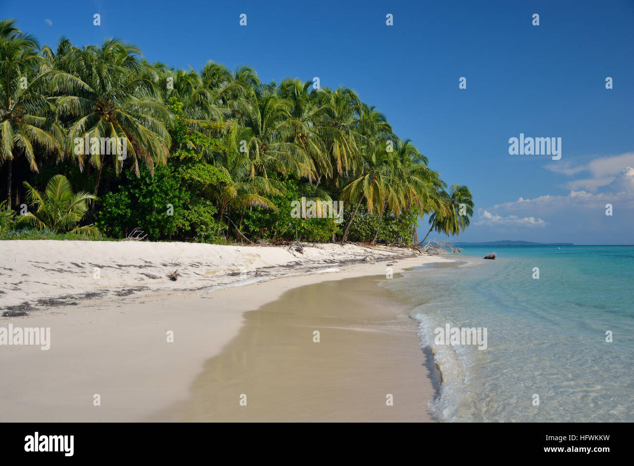 Cayos Zapatilla sulla spiaggia di Bocas del Toro Arcipelago Panama Foto Stock