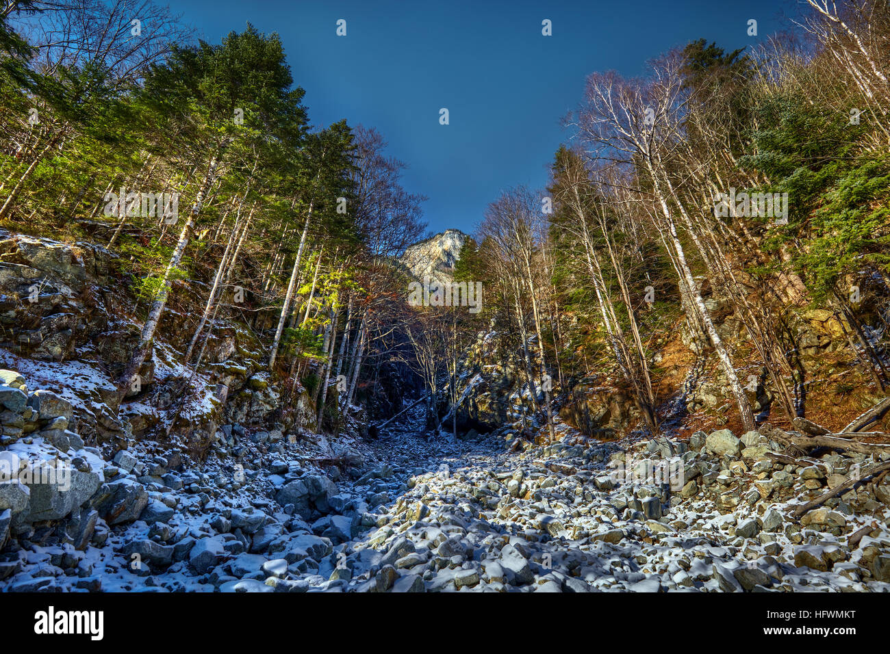 Paesaggio con alberi di pino e le montagne in inverno Foto Stock