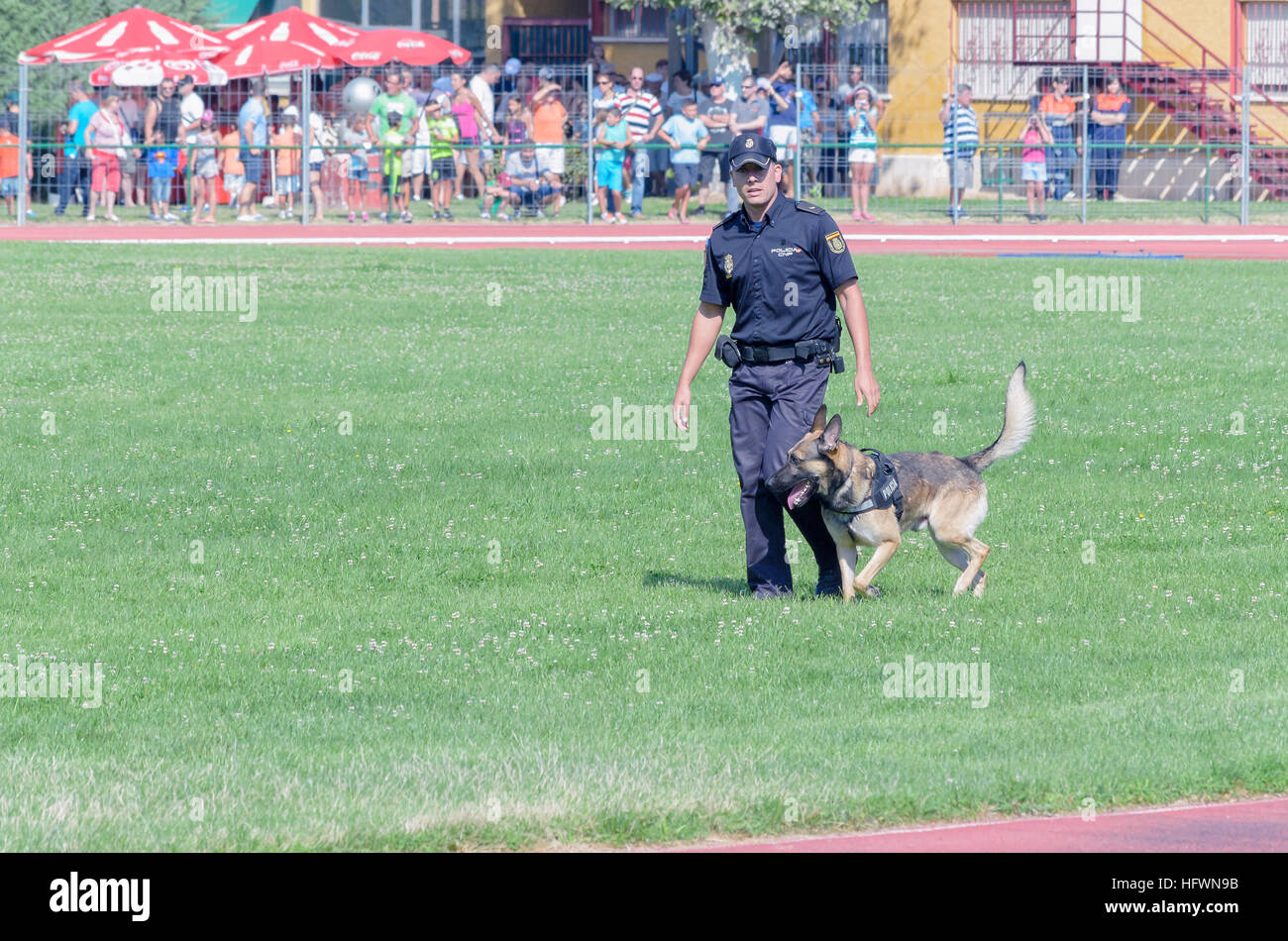 Polizia nazionale spagnola. Poliziotto e polizia cane, facendo un esercizio di obbedienza, durante uno spettacolo di spagnolo delle forze armate. Foto Stock