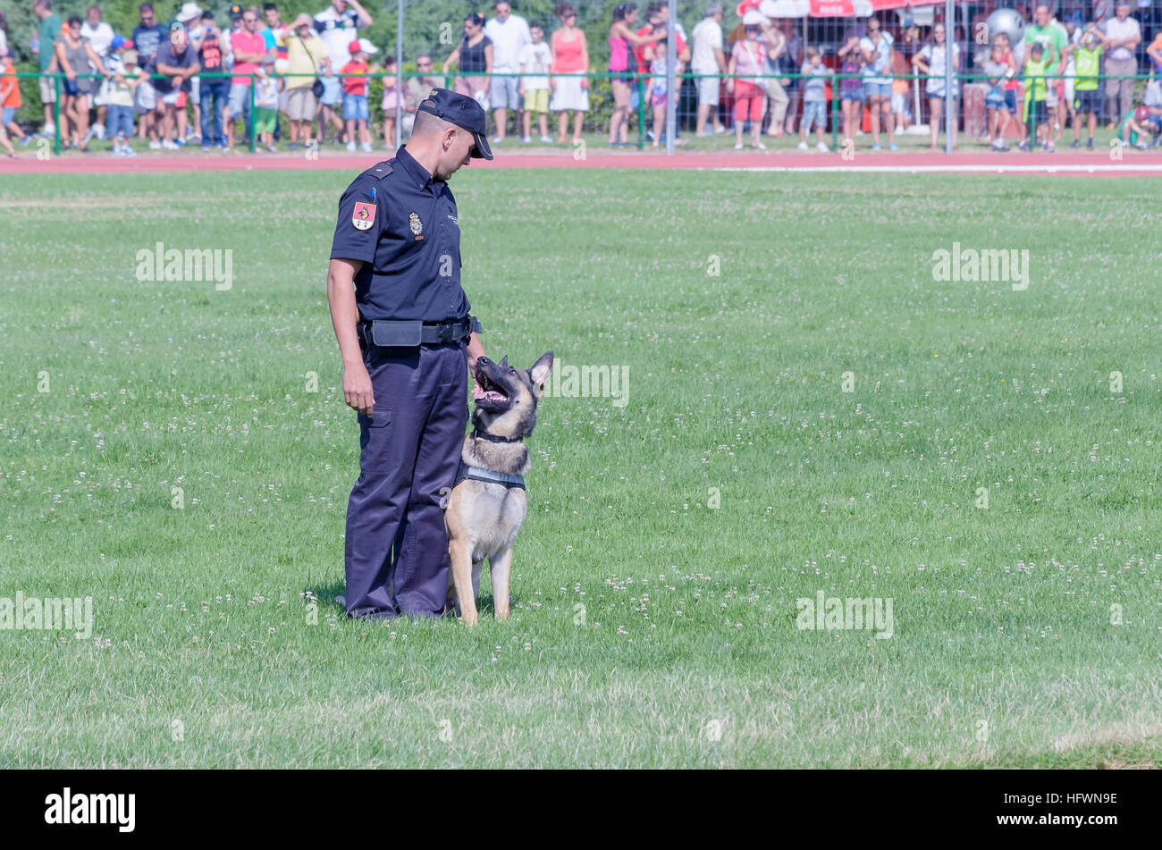 Polizia nazionale spagnola. Poliziotto e polizia cane, facendo un esercizio di obbedienza, durante uno spettacolo di spagnolo delle forze armate. Foto Stock