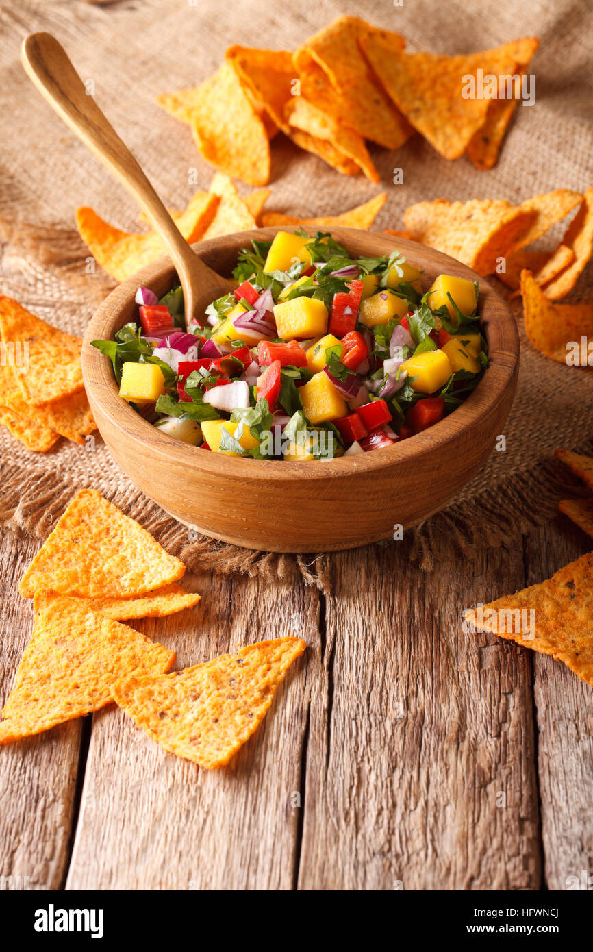 Salsa deliziosa con mango, peperoncino, il coriandolo e la cipolla vicino fino in una ciotola e nachos sul piano verticale. Foto Stock