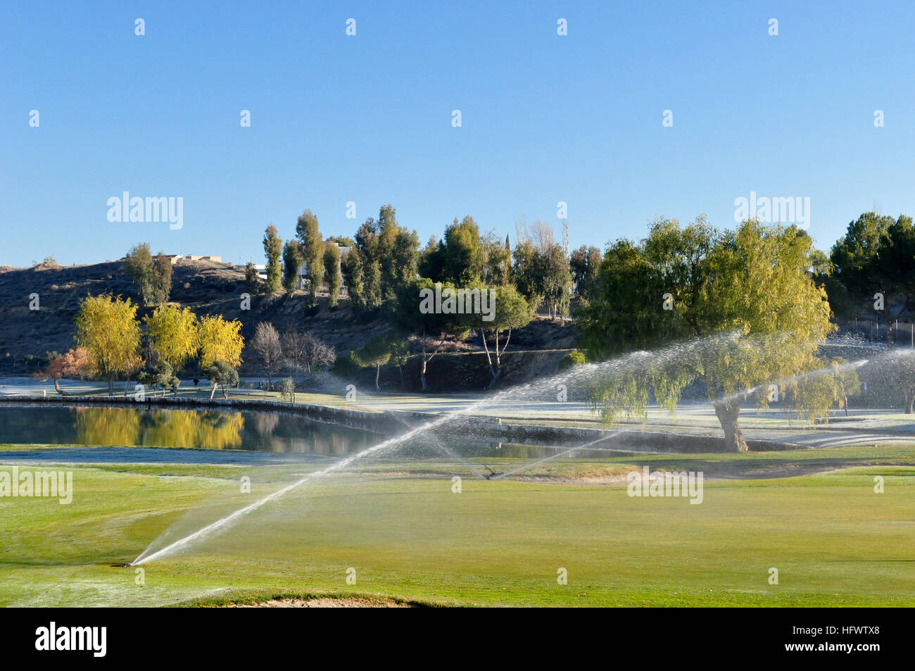 Irrigazione di sprinkler su un campo da golf Foto Stock