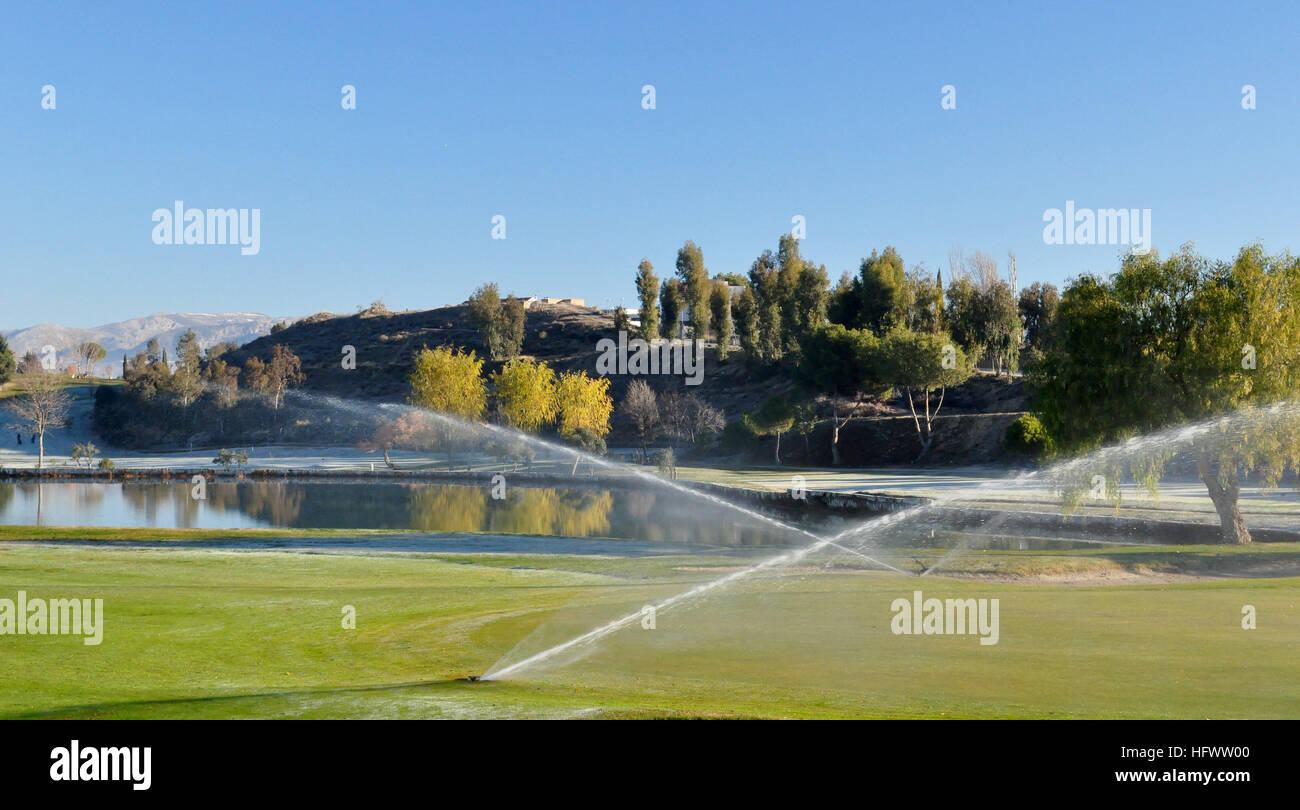 Irrigazione di sprinkler su un campo da golf Foto Stock