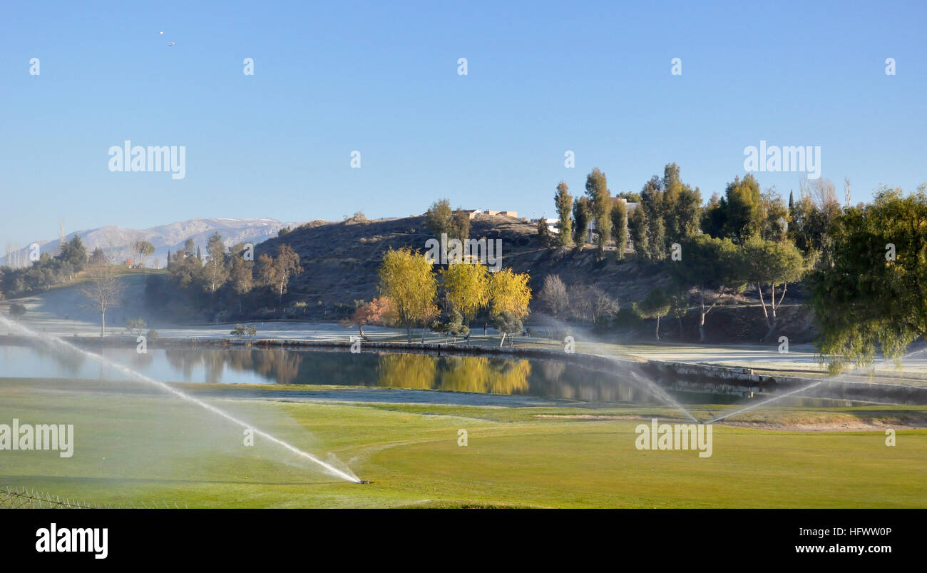 Irrigazione di sprinkler su un campo da golf Foto Stock
