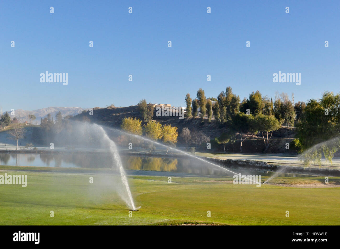 Irrigazione di sprinkler su un campo da golf Foto Stock
