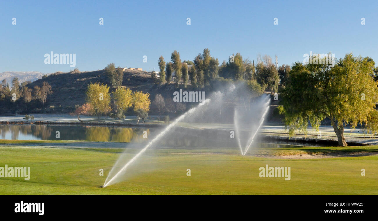 Irrigazione di sprinkler su un campo da golf Foto Stock