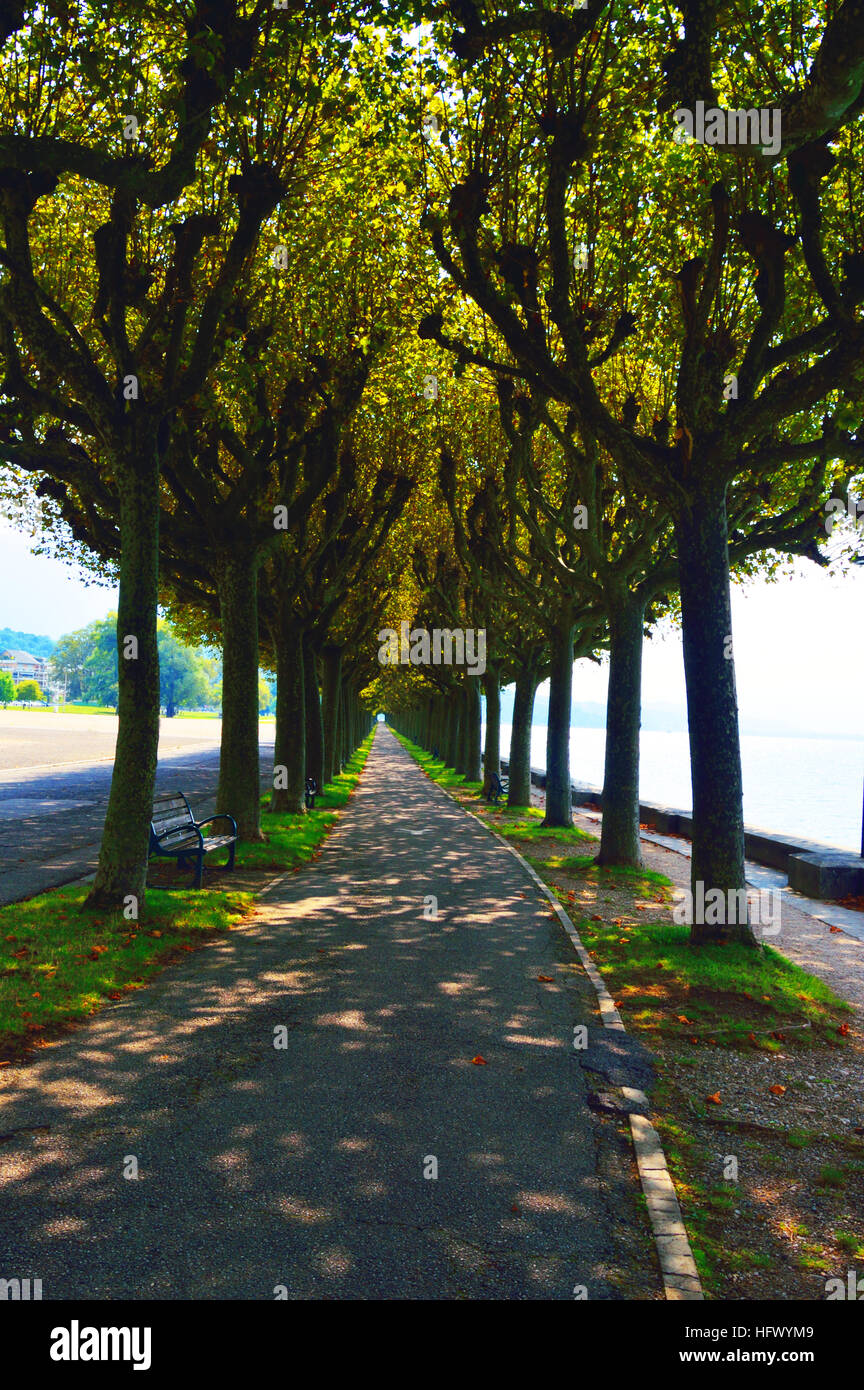 Viale alberato percorso in Aix-les-Bains sulle rive del lago del Bourget Foto Stock