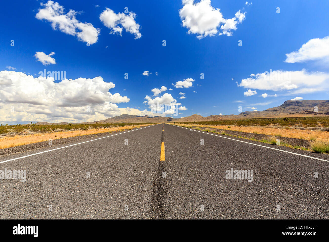 County Highway 91 Littlefield, AZ 86432, STATI UNITI D'AMERICA. Infinite road nel deserto dell'Arizona. Foto Stock