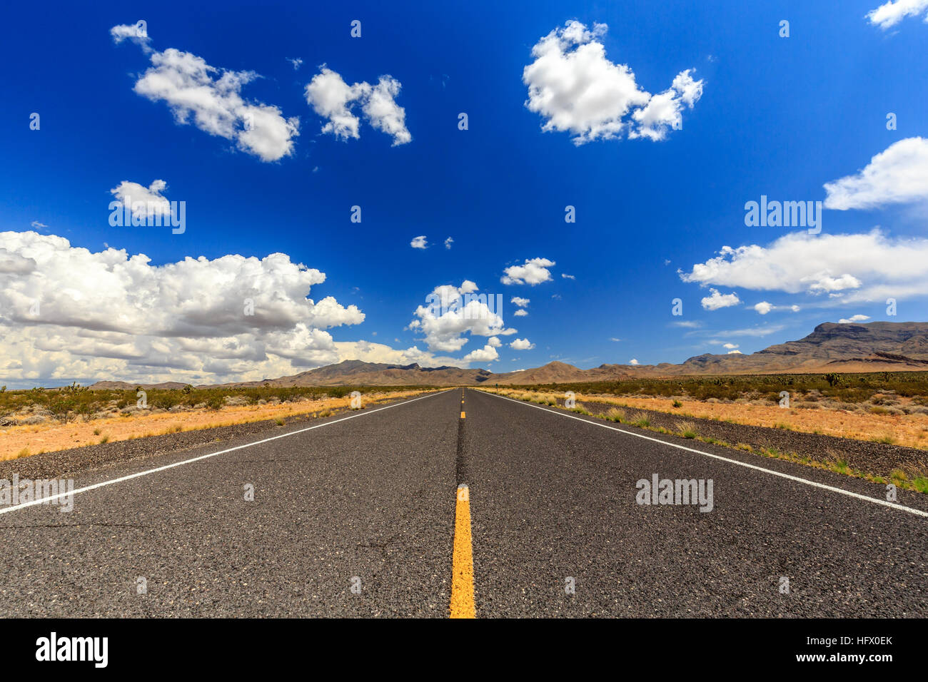 County Highway 91 Littlefield, AZ 86432, STATI UNITI D'AMERICA. Infinite road nel deserto dell'Arizona. Foto Stock