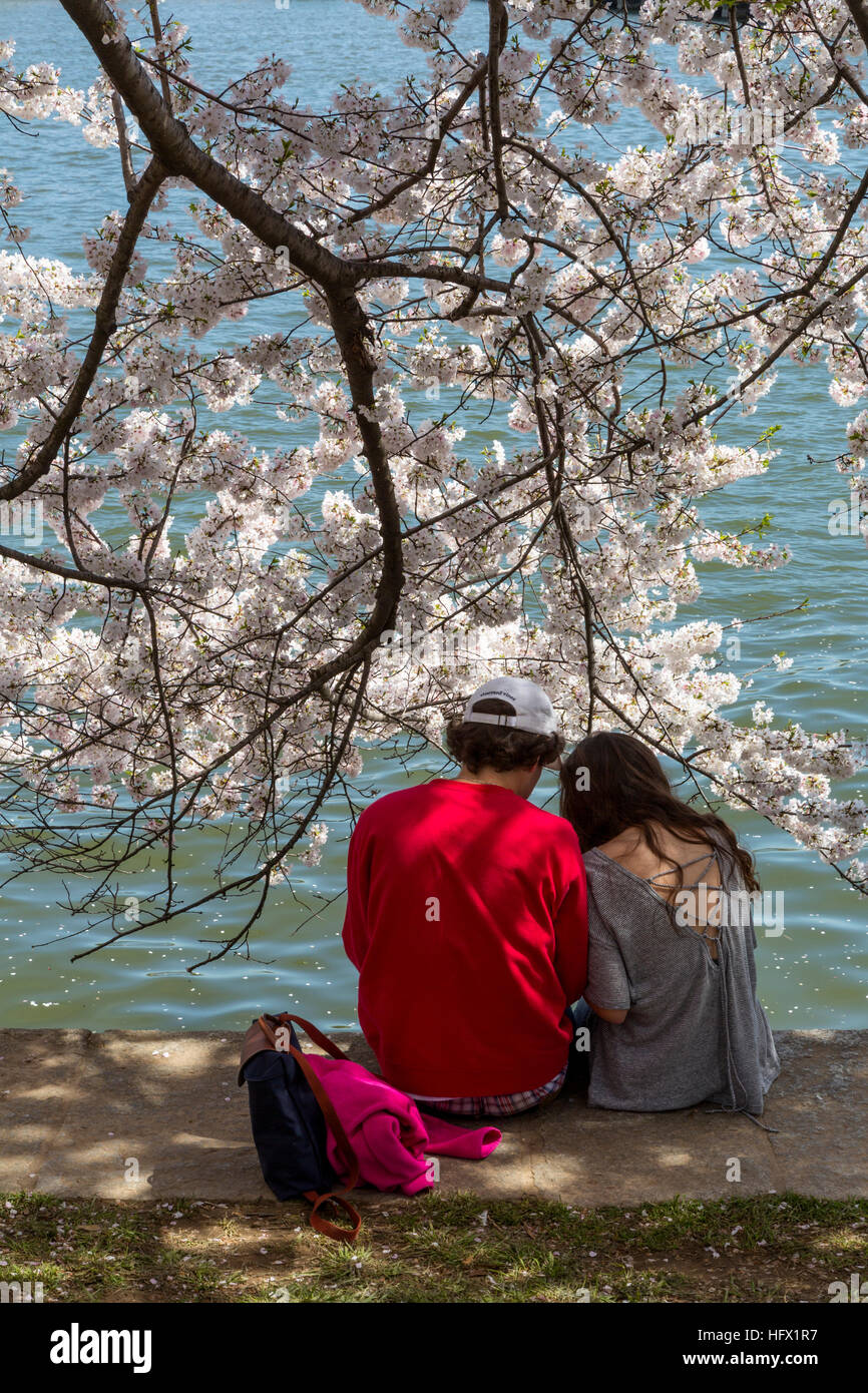 Coppia giovane seduto da Tidal Basin durante la fioritura dei ciliegi stagione, Washington D.C. Foto Stock