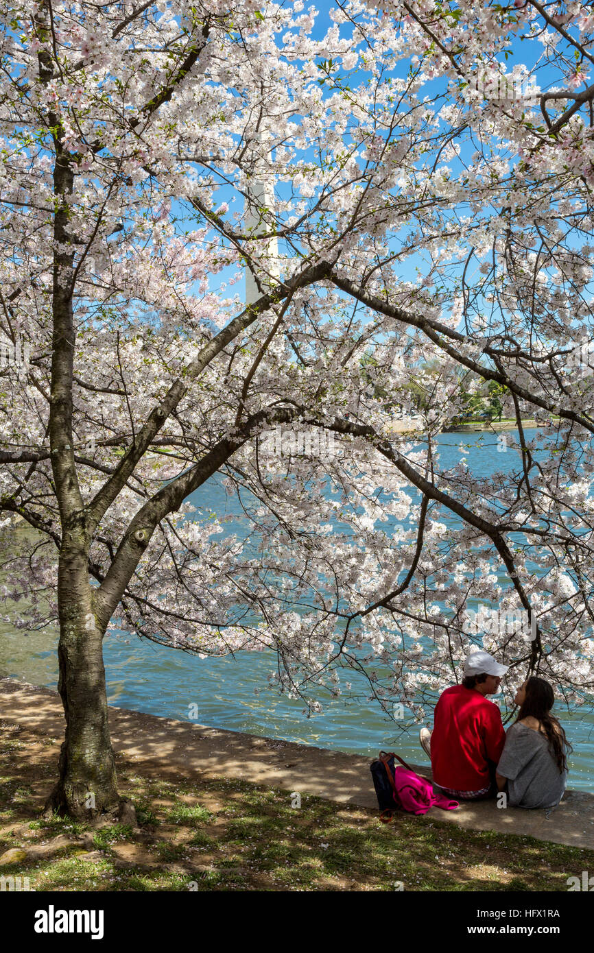 Coppia giovane seduto da Tidal Basin durante la fioritura dei ciliegi stagione, Washington D.C. Foto Stock