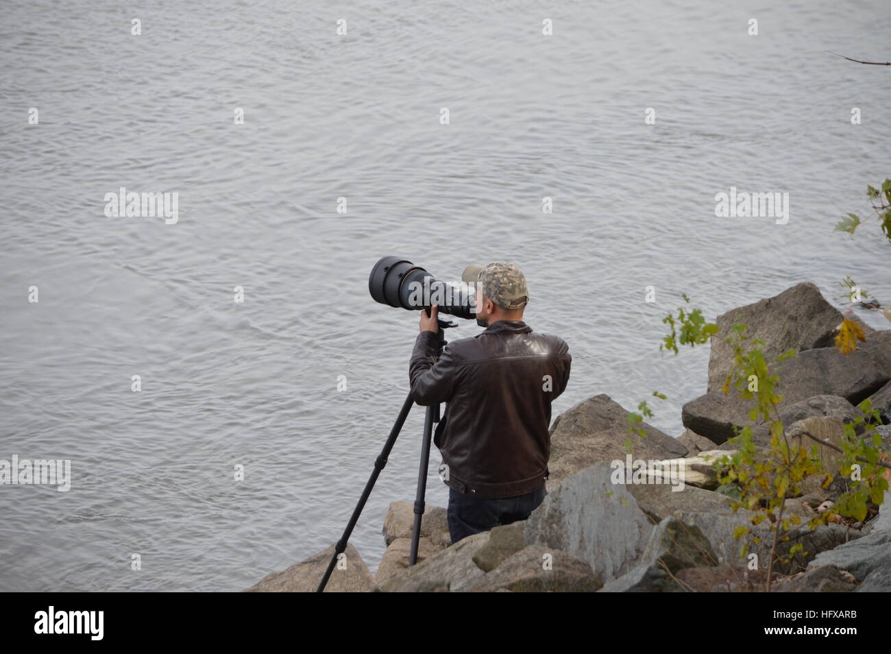 Un fotografo con un grande teleobiettivo fotografie aquile calve la pesca sul fiume Susquehanna sotto la diga Conowingo. Foto Stock