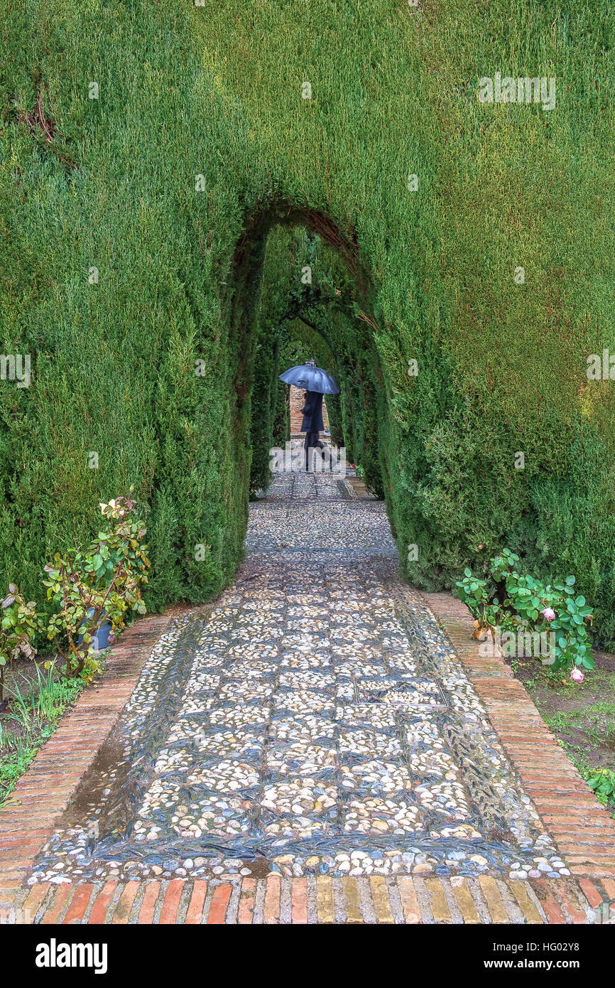 Giardino Alhambra di Granada, Andalusia, Spagna Foto Stock