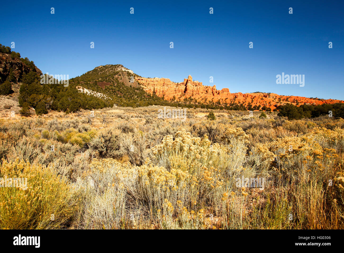 Bryce Canyon National Park nello Utah, Stati Uniti d'America Foto Stock