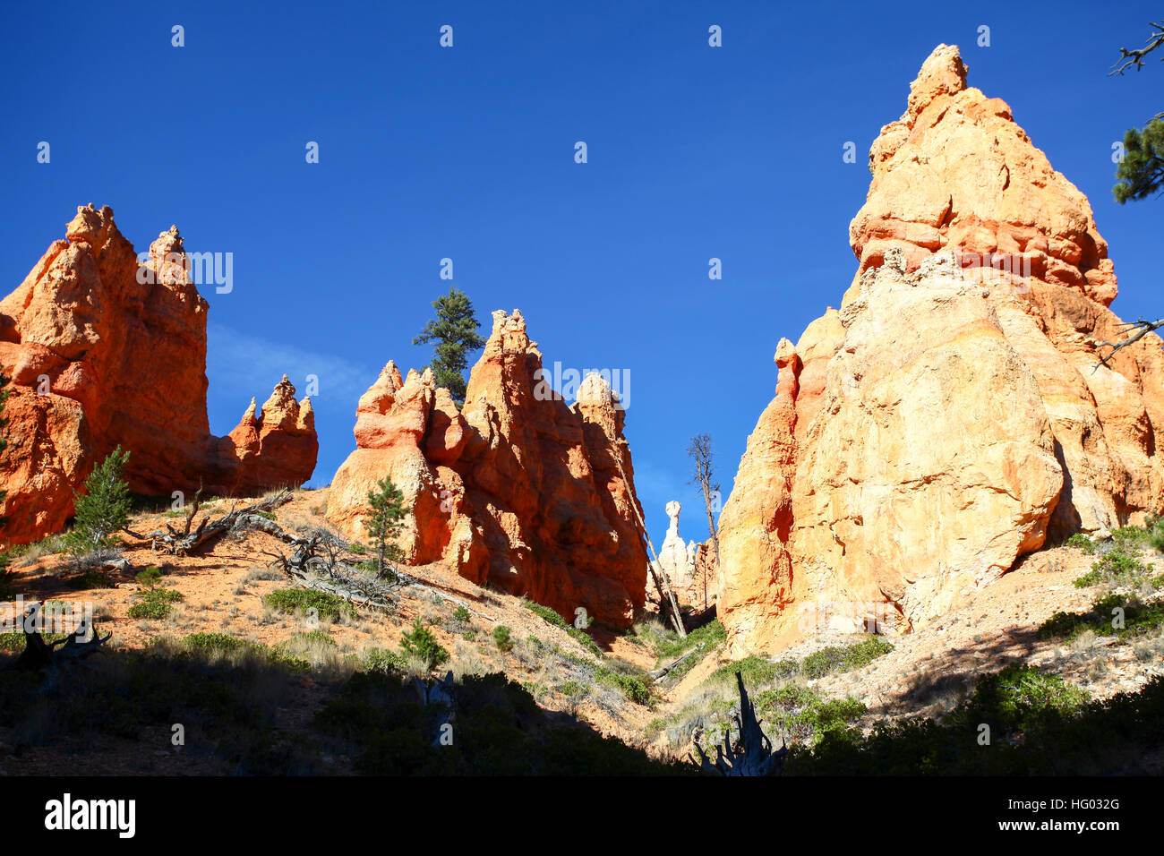 Bryce Canyon National Park nello Utah, Stati Uniti d'America Foto Stock