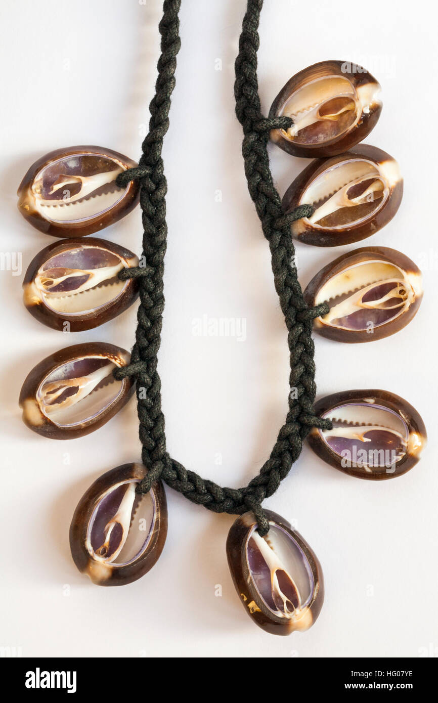 Cowry, cowrie, collana di conchiglie impostato su sfondo bianco Foto Stock