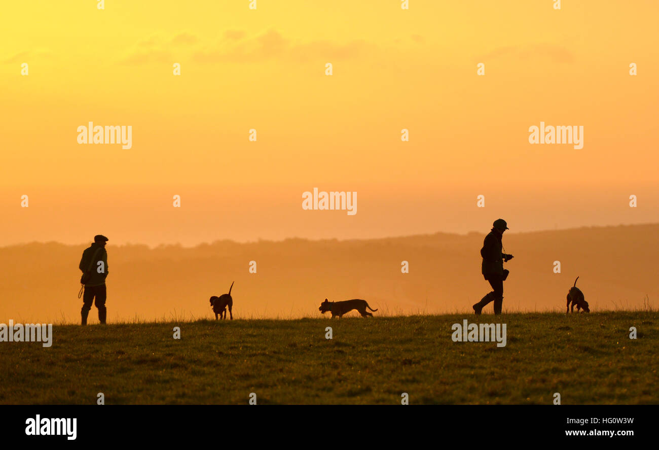 Due persone del paese e tre cani al tramonto sulla South Downs National Park, Sussex Foto Stock