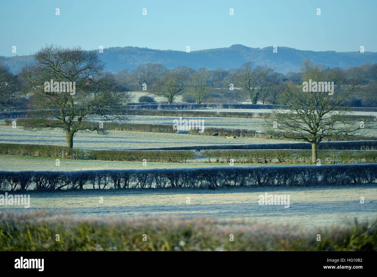 In inverno il paesaggio di campagna, East Sussex Foto Stock