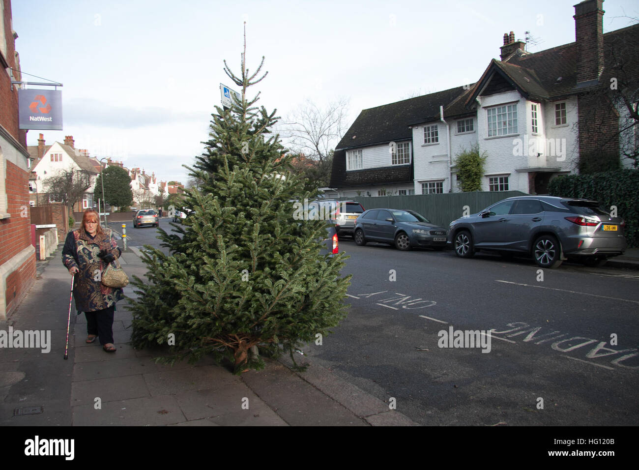 Il torneo di Wimbledon, Londra, Regno Unito. 3 gennaio, 2017. Un vecchio albero di Natale viene scartato a Wimbledon high street per lo smaltimento© amer ghazzal/Alamy Live News Foto Stock