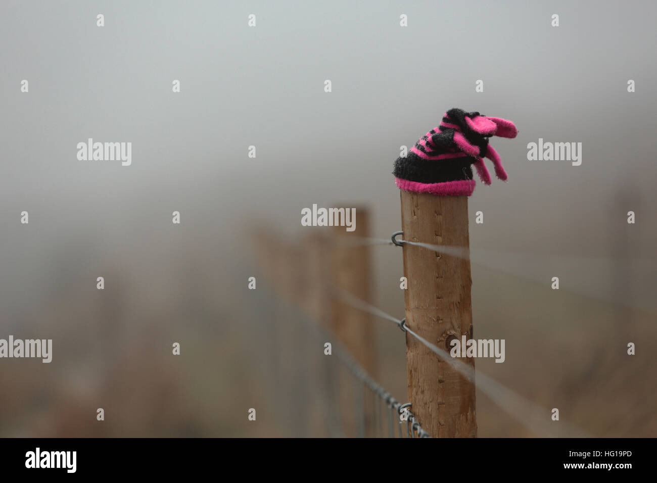 Un singolo perso guanto umido su un recinto di paese nella nebbia. Foto Stock