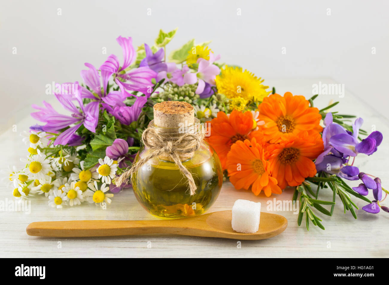 Varie specie di fiori e di olio essenziale in una bottiglia Foto Stock