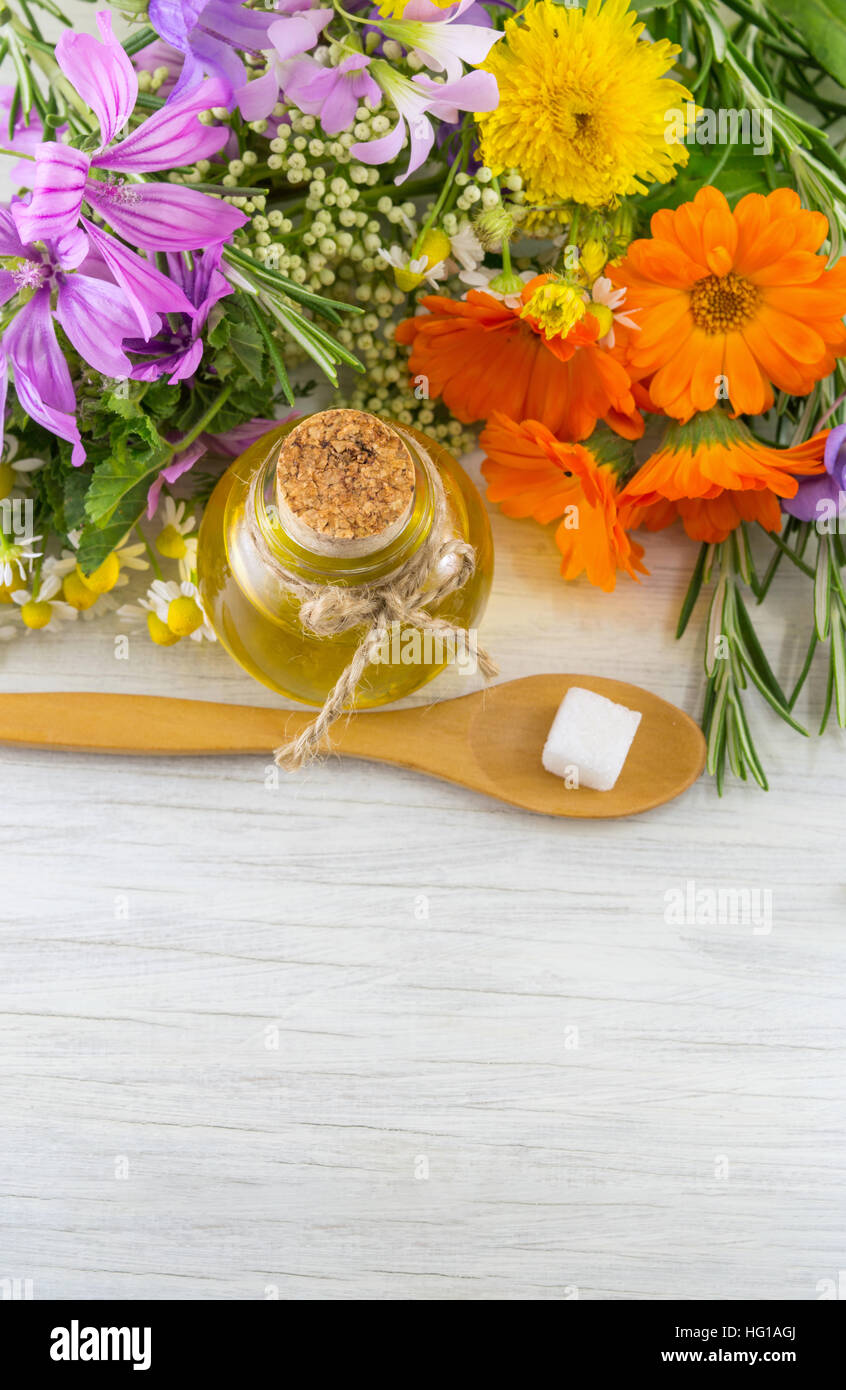 Varie specie di fiori e di olio essenziale in una bottiglia Foto Stock