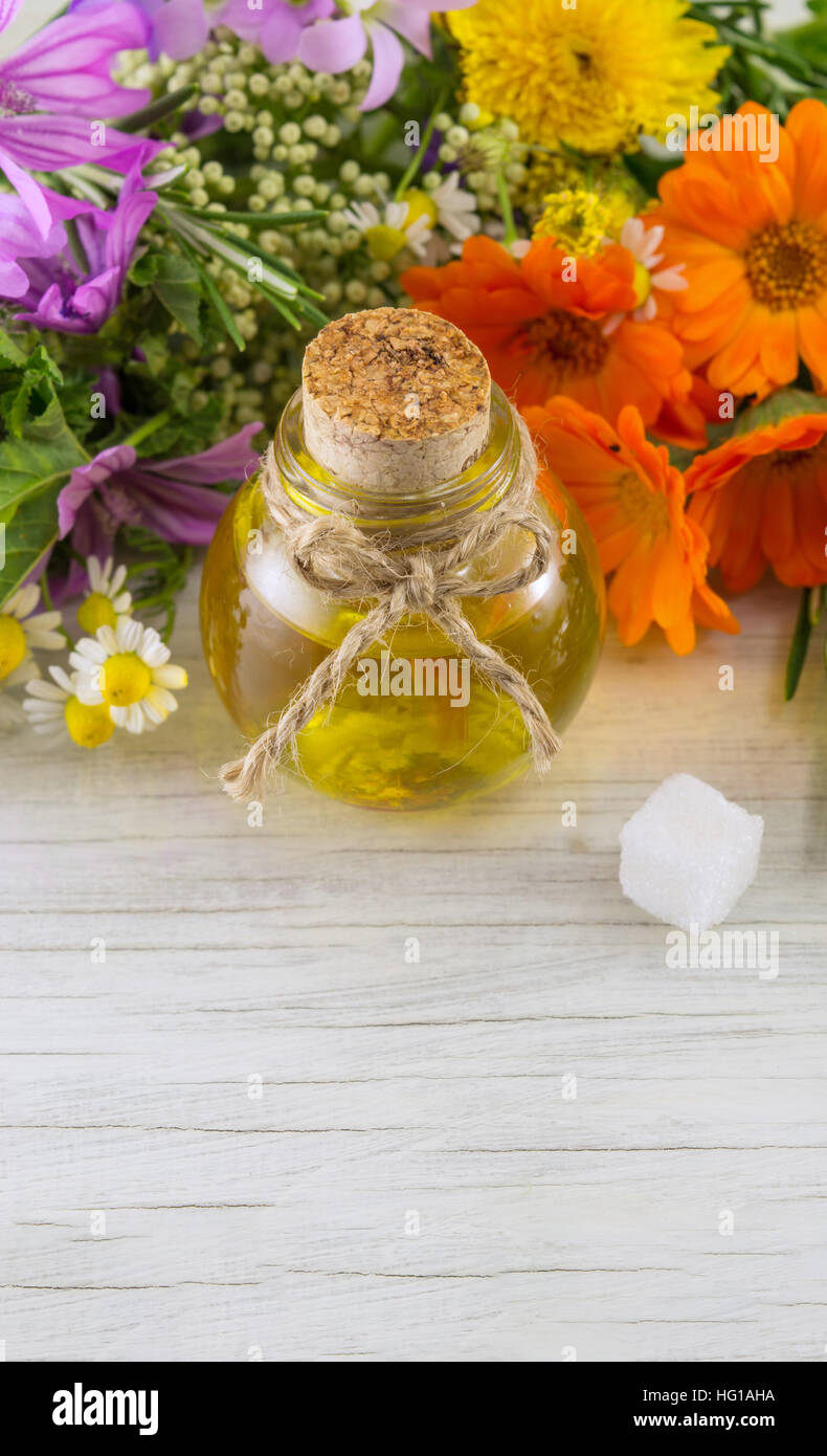 Varie specie di fiori e di olio essenziale in una bottiglia Foto Stock