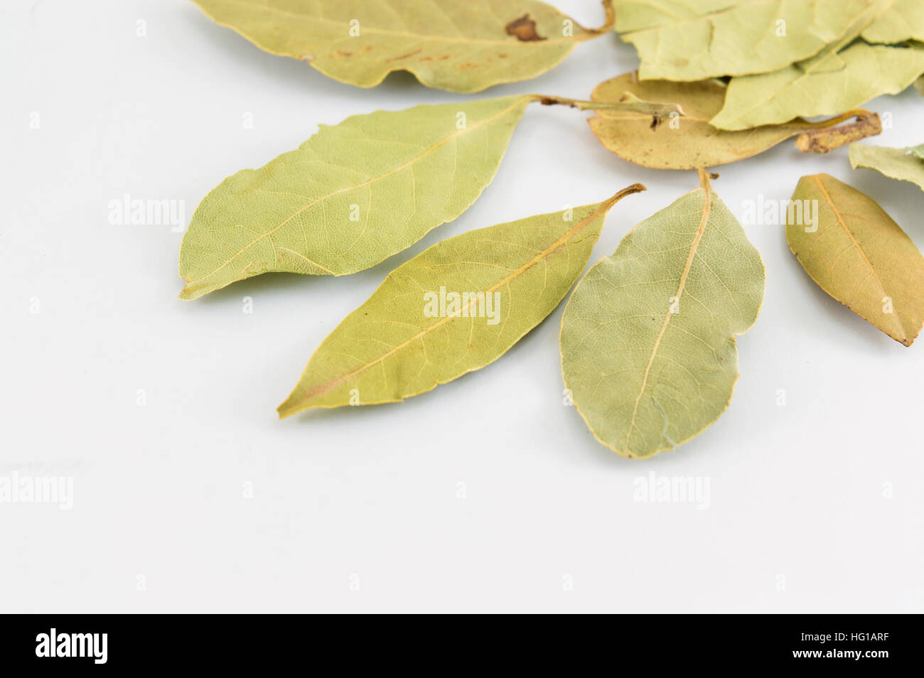 Baia Verde foglie bianco sul tavolo di legno Foto Stock