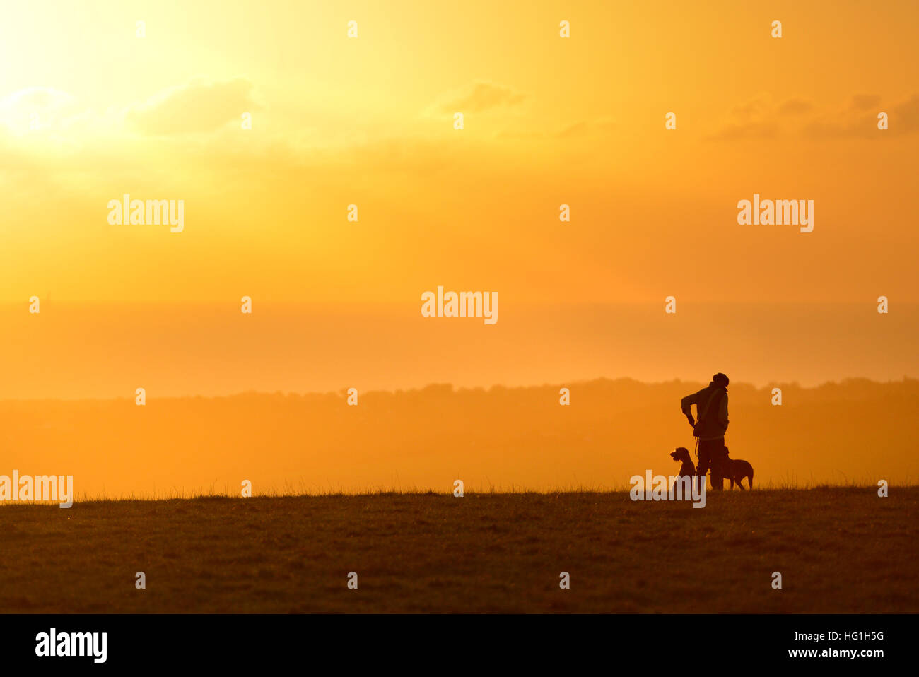 Paese gent in tweed con due cani. Tramonto sulla South Downs vicino a Lewes Foto Stock