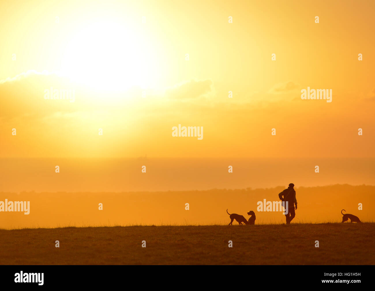 Paese gent in tweed con tre cani. Tramonto sulla South Downs vicino a Lewes Foto Stock