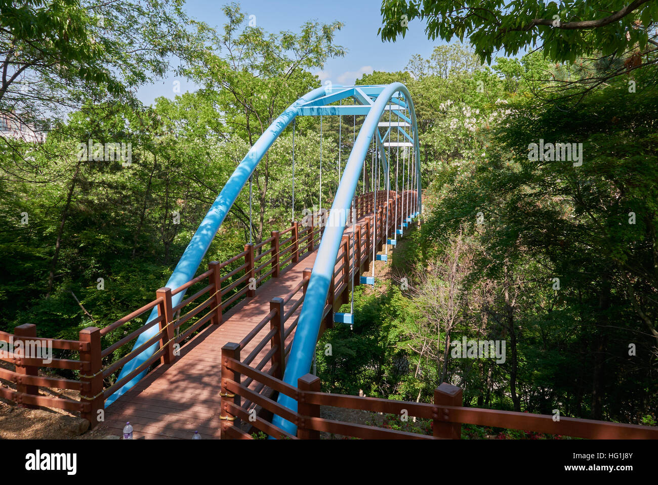 Piccolo ponte pedonale nella forma di un cavo ponte alloggiato in un parco Foto Stock
