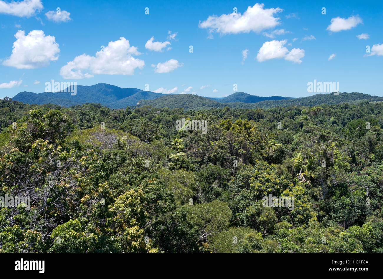 Antenna dalla funicolare al di sopra di foresta pluviale in barron gorge national park e picchi di montagna lungo orizzonte vicino a Cairns di Queensland in Australia Foto Stock