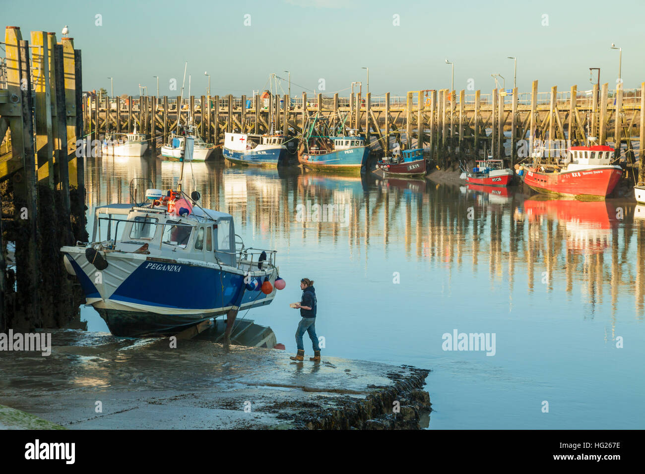 Pomeriggio invernale a Rye Harbour, East Sussex, Inghilterra. Foto Stock