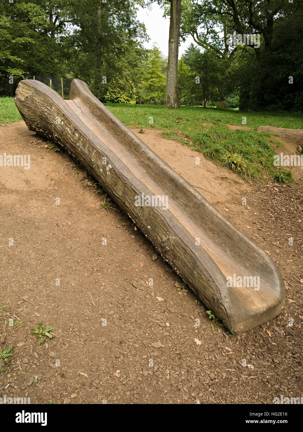 Scavato tronco di albero Riproduci diapositiva, Westonbirt Arboretum, Gloucestershire, Inghilterra, Regno Unito. Foto Stock