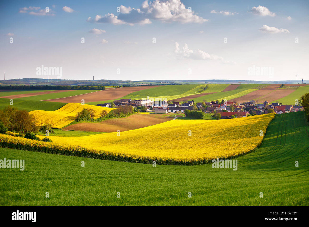 In Austria la colza primaverile i campi. Villaggio su una collina. Verde e giallo campi in primavera. Prati di primavera sulle colline Foto Stock