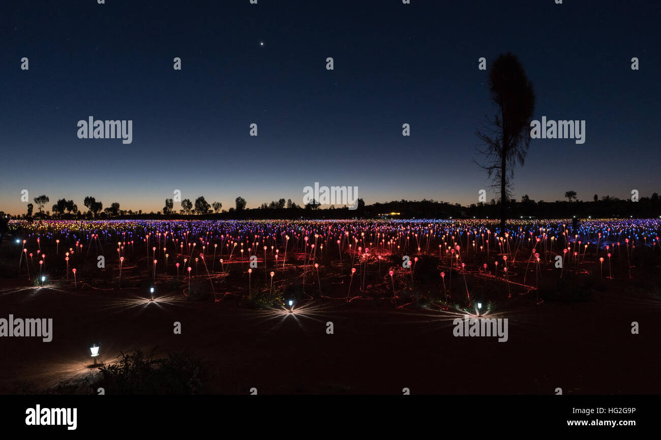 Campo di luce da parte di un artista Bruce Monro a Ayers Rock / Uluru, Australia ha migliaia di luci colorate Foto Stock