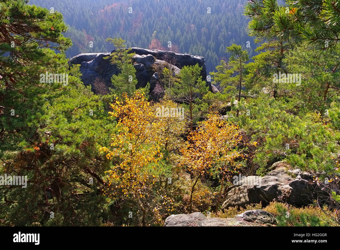 Svizzera Sassone - rock in Elba montagne di arenaria, Sassonia Foto Stock