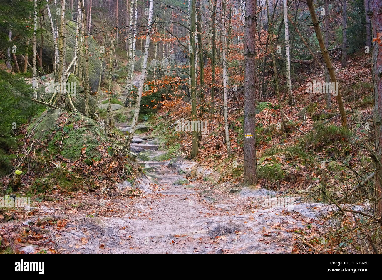 Wanderweg im Svizzera Sassone - sentiero escursionistico dell'Elba montagne di arenaria in autunno Foto Stock