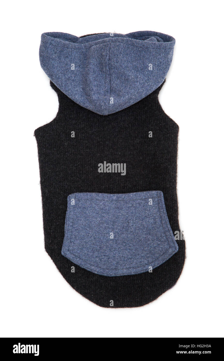 Unico cane blu maglione isolare su bianco Foto Stock