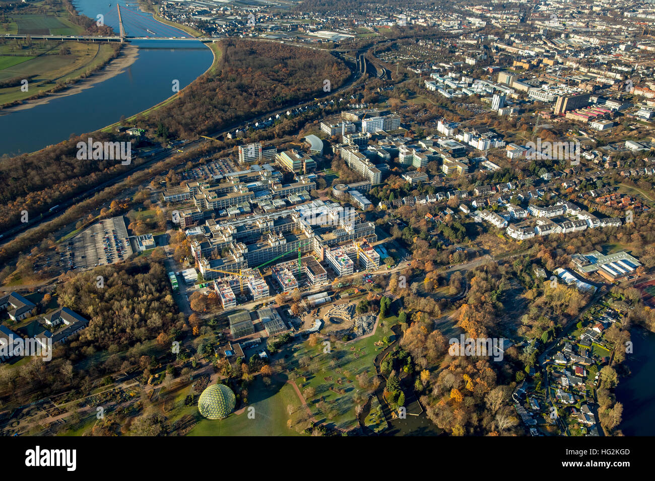 Vista aerea dell'università di Dusseldorf, Università Heinrich-Heine, Giardino Botanico, Dusseldorf, Renania,Renania settentrionale-Vestfalia Foto Stock