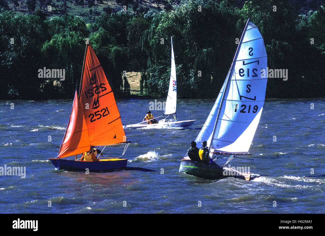 Yachts racing sul Lago Burley Griffin a Canberra Foto Stock