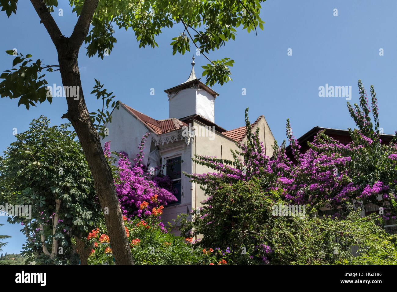 Buyukada è la più grande delle nove cosiddetti Princes' isole nel mare di Marmara, nei pressi di Istanbul, con una superficie di circa 5 km2. È ufficialmente un quartiere in Adalar (Isole) distretto della Provincia di Istanbul, Turchia. Foto Stock