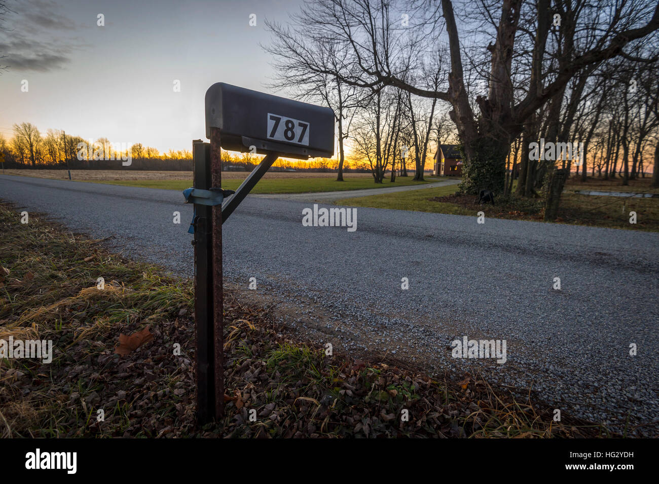 Casella di posta sul lato della strada di campagna, Indiana, STATI UNITI D'AMERICA Foto Stock