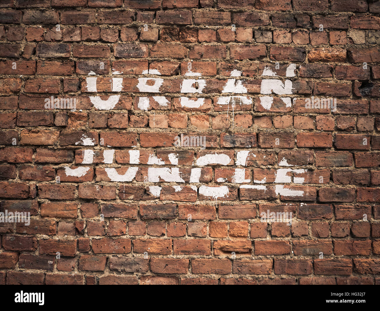 Urban Jungle scritto come Graffiti Foto Stock