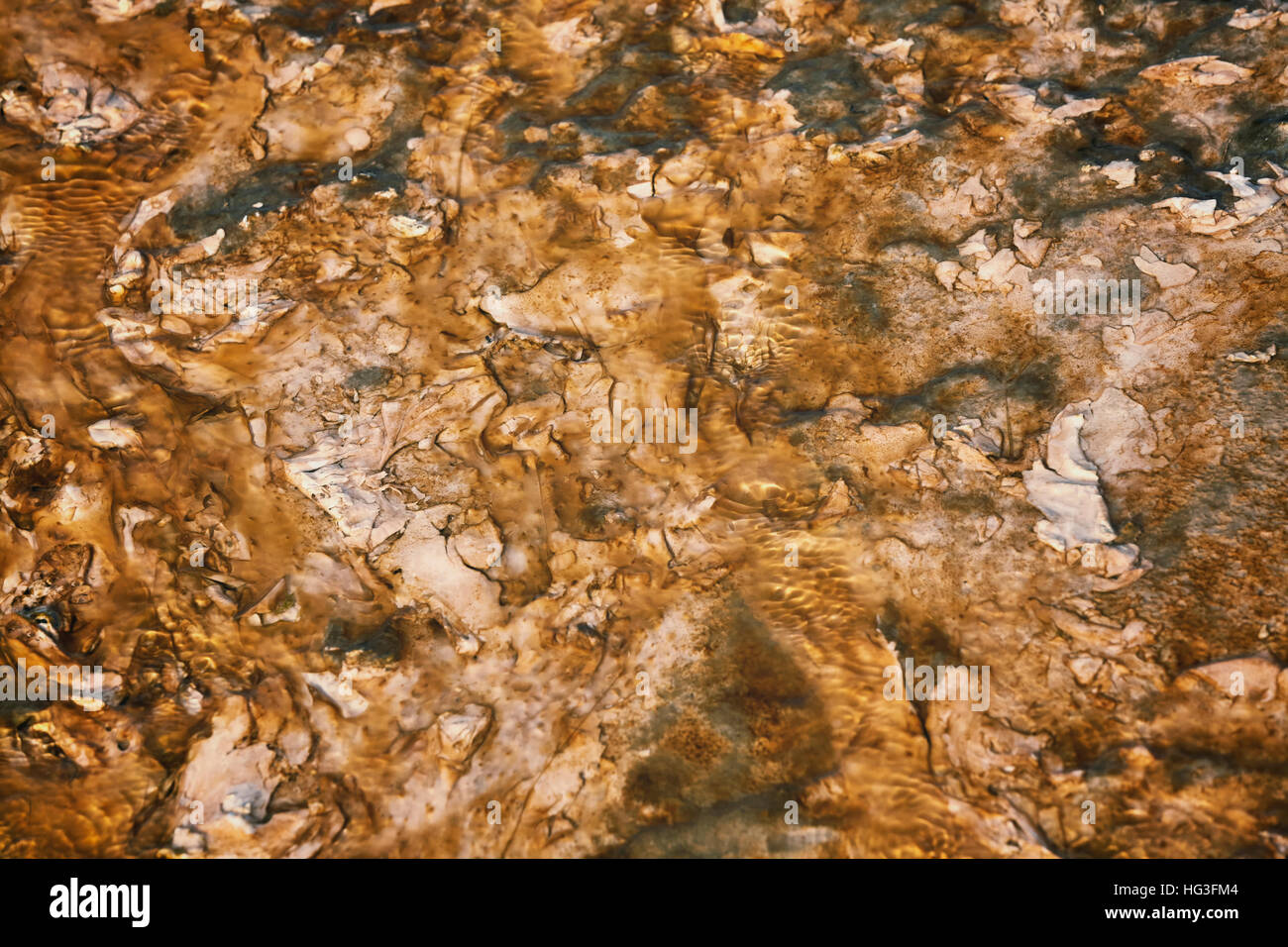 Abstract sfocato sfondo naturale, primavera calda inferiore, l'elaborazione del colore effetto. Foto Stock